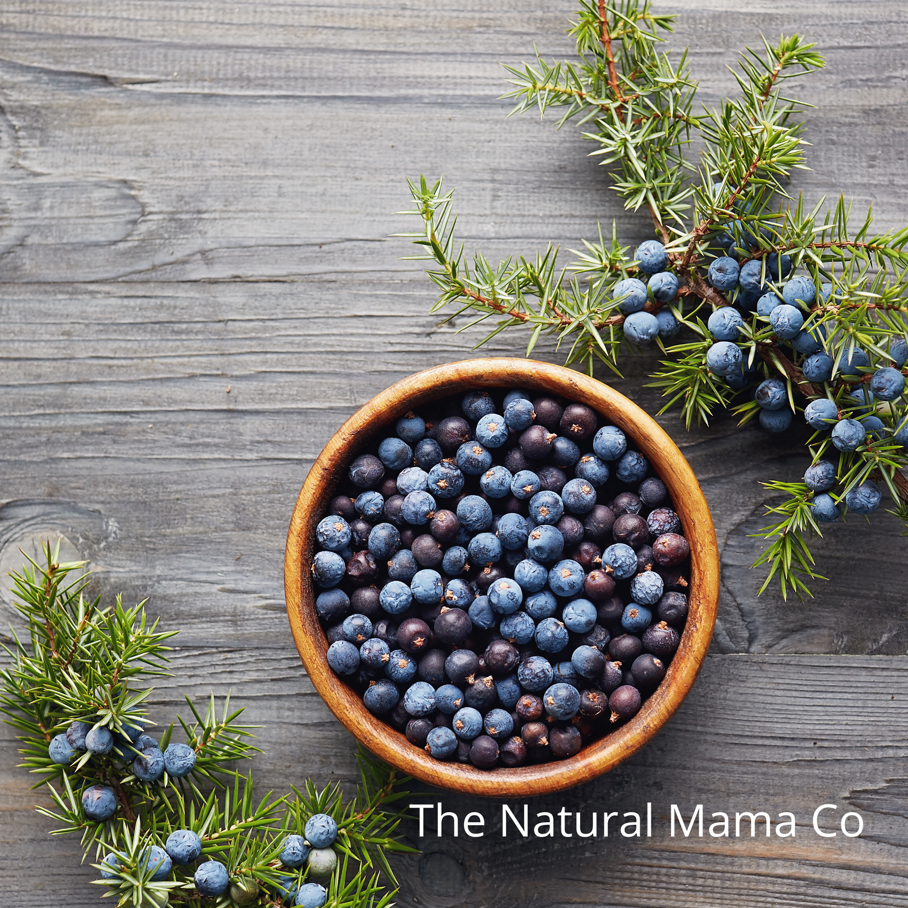 Organic Juniper Berries: Very Fresh High Quality Juniper Berry